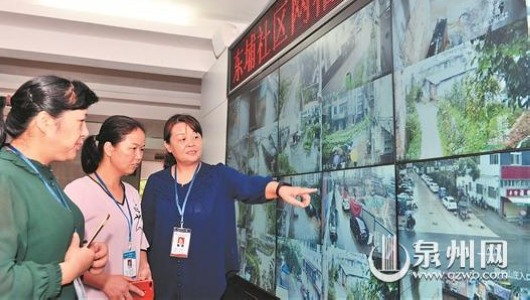 “大网格”呵护“女人花” - 憨鼠网