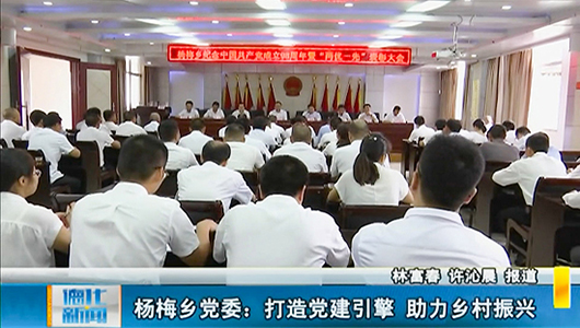 杨梅乡党委：打造党建引擎 助力乡村振兴 - 憨鼠网