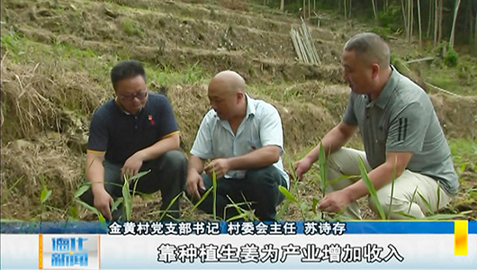 大铭乡金黄村党支部：服务乡村振兴 服务群众生活 - 憨鼠网