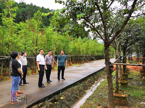 市林业局到葛坑林场调研经营管理工作 - 憨鼠网