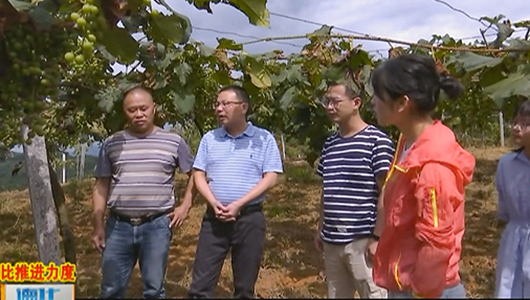 汤头乡：生态立乡 农业强乡 矿业兴乡 - 憨鼠网