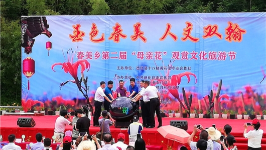 春美黄花盛开迎佳客 助力乡村振兴大发展 - 憨鼠网