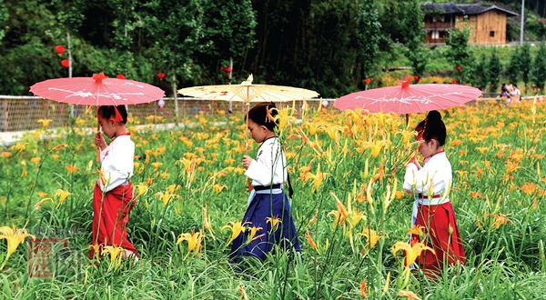 花开如海待君来 - 憨鼠网