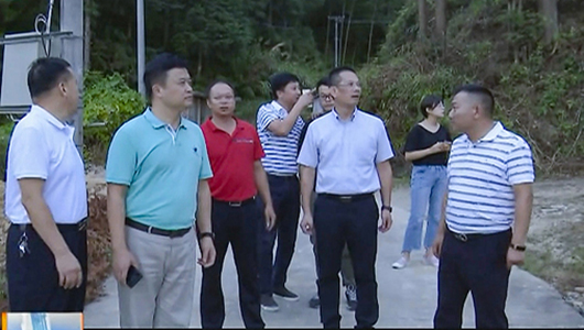 县长黄文捷到桂阳乡调研 - 憨鼠网