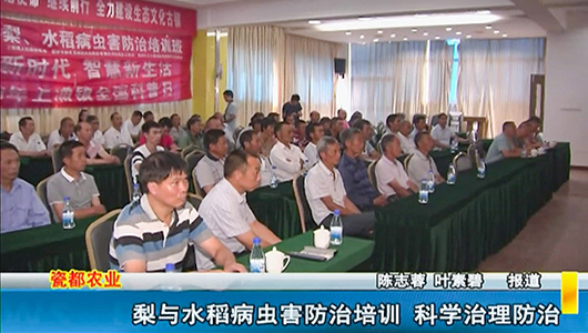 梨与水稻病虫害防治培训 科学治理防治 - 憨鼠网