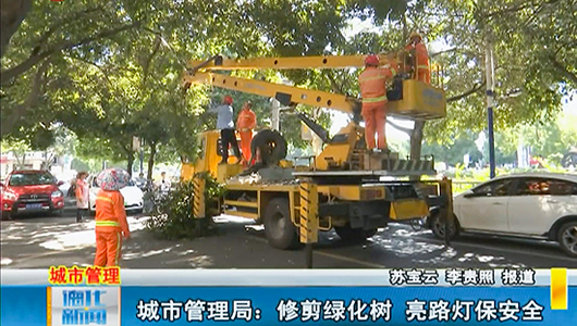 城市管理局：修剪绿化树 亮路灯保安全 - 憨鼠网