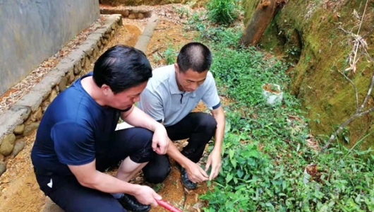 德化县开展2019年“农民丰收节”系列活动 - 憨鼠网