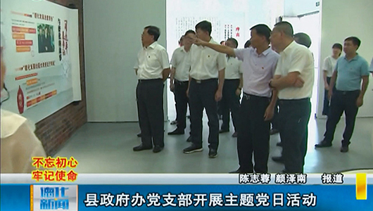 县政府办党支部开展主题党日活动 - 憨鼠网