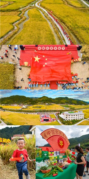 自在德化·丰收上涌 - 憨鼠网