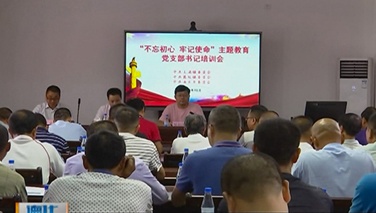 乡镇联合举办主题教育党支部书记培训班 - 憨鼠网