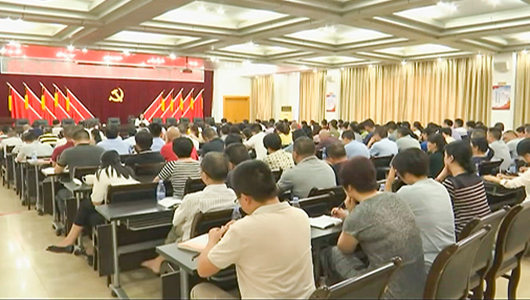 县委书记梁玉华为龙浔镇党支部书记集中轮训上党课 - 憨鼠网