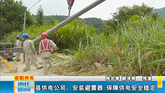 县供电公司：安装避雷器 保障用供电安全稳定 - 憨鼠网