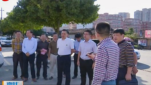 县人大常委会视察提升县城品位工作情况 - 憨鼠网