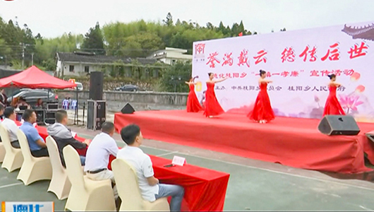 桂阳乡举办“一镇一孝廉”主题活动 - 憨鼠网
