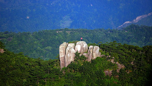 九仙山旅游度假区获评2019中国森林旅游节“森林健康养生50佳” - 憨鼠网