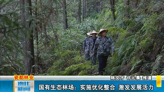 国有生态林场：实施优化整合 激发发展活力 - 憨鼠网