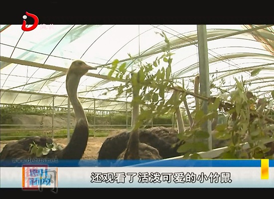 旺族农场自助游乐园：多种萌趣动物进园区 - 憨鼠网