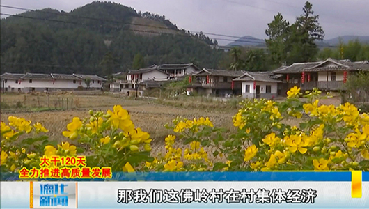 县农业农村局：奋勇争先  振兴乡村 - 憨鼠网