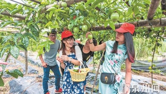 “绿盈乡村”美如画 - 憨鼠网