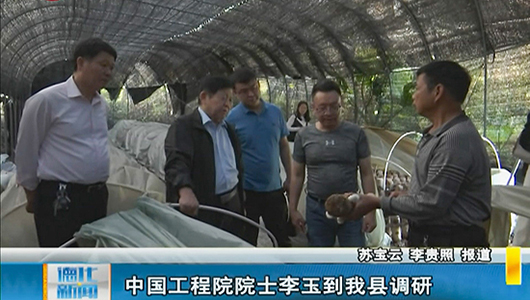 中国工程院院士李玉到德化调研 - 憨鼠网