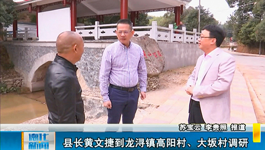 县长黄文捷到龙浔镇高阳村、大坂村调研 - 憨鼠网