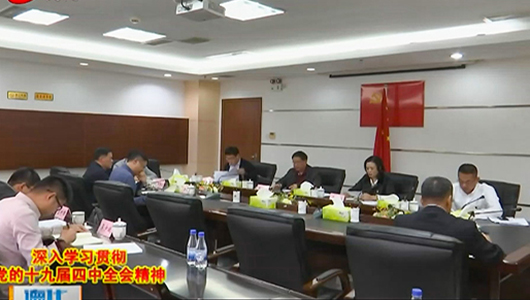 德化县开展“学习贯彻党的十九届四中全会精神”专题集中学习研讨会 - 憨鼠网