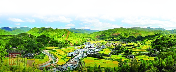 美湖镇小湖村：打造“绿盈乡村” 共享美好家园 - 憨鼠网