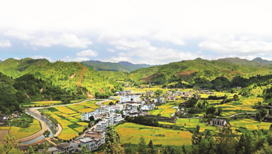 美湖镇小湖村：打造“绿盈乡村” 共享美好家园 - 憨鼠网