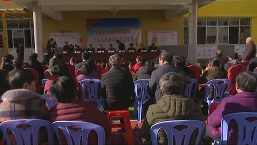 浔中镇阳光社区老年协会成立 - 憨鼠网