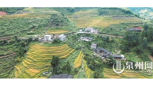 全力推动高质量发展 打造现代化世界瓷都 - 憨鼠网
