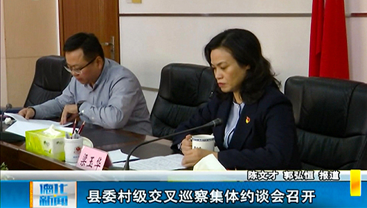 县委村级交叉巡察集体约谈会召开 - 憨鼠网