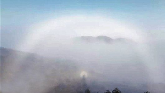 节前回暖明显 春节多雨雾天气 - 憨鼠网