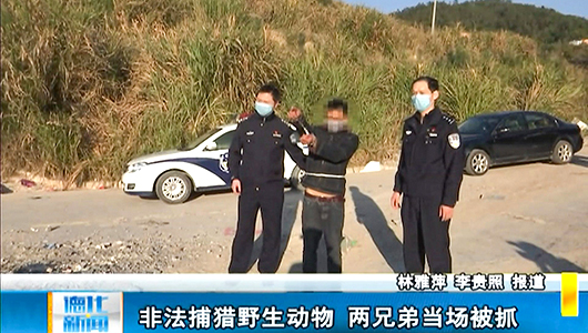 非法捕猎野生动物 两兄弟当场被抓 - 憨鼠网