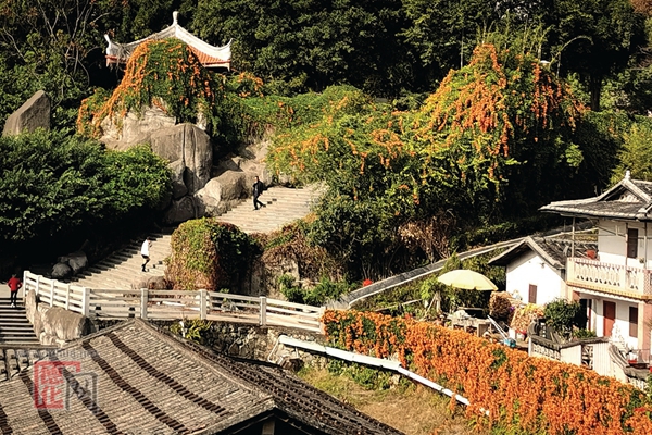 春日暖阳 - 憨鼠网