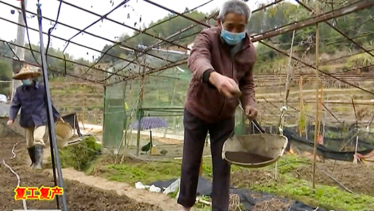 盖德镇：多举措发力 春耕防疫齐步走 - 憨鼠网