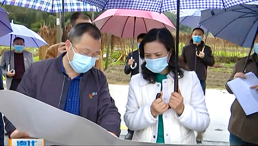 县委书记梁玉华调研重点项目建设情况 - 憨鼠网