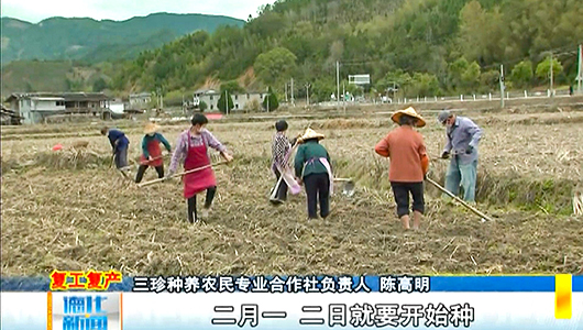 不负春光抢种马铃薯 防“疫”春播两不误 - 憨鼠网