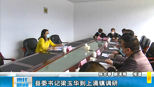 县委书记梁玉华到上涌镇调研 - 憨鼠网
