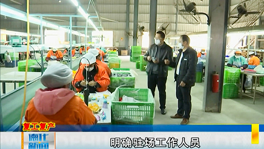 上涌镇：政企共发力 复工防疫同攻坚 - 憨鼠网