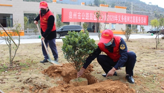 德化公路分局开展绿化种植志愿服务活动 - 憨鼠网