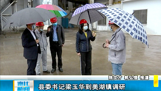 县委书记梁玉华到美湖镇调研 - 憨鼠网