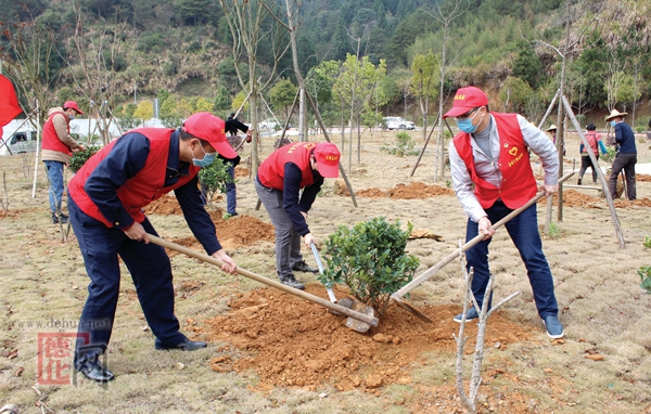 植树造绿美化公路 - 憨鼠网