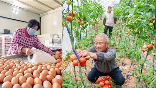 德化：拎稳百姓“菜篮子” - 憨鼠网
