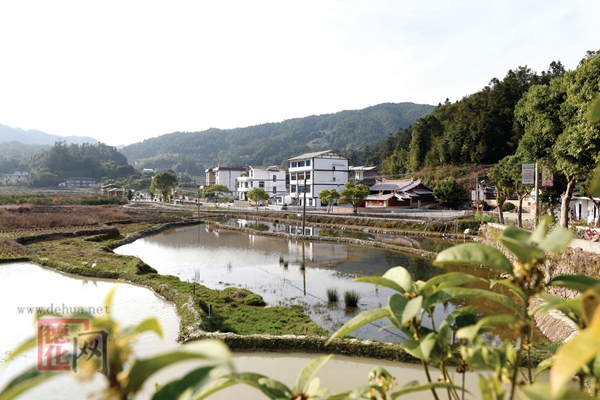 朱紫村干群一心谋发展 摘掉贫困帽 变身美丽田园村 - 憨鼠网