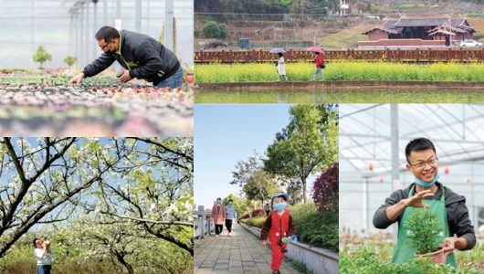 春到瓷城已九分 - 憨鼠网