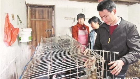 ​张建友脱贫经：有政府“输血”，还需自己“长肉” - 憨鼠网