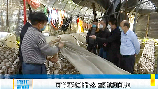 省直机关到德化支援春耕生产和脱贫攻坚工作 - 憨鼠网