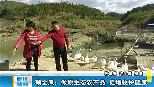 赖金凤：做原生态农产品 促增收护健康 - 憨鼠网