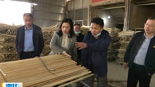 县委书记梁玉华到盖德、雷峰调研 - 憨鼠网