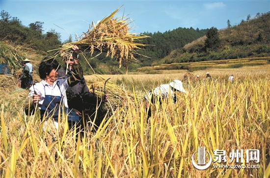 德化福山村让山垅田焕发新生 - 憨鼠网